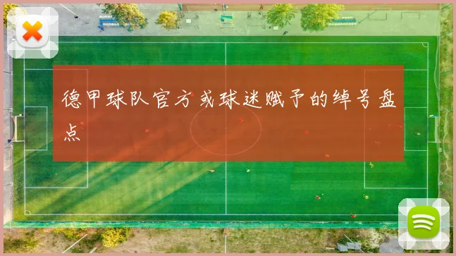 德甲球队官方或球迷赋予的绰号盘点