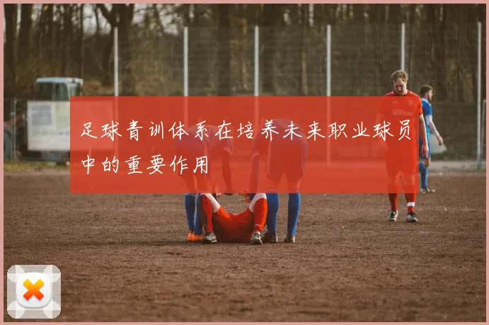 足球青训体系在培养未来职业球员中的重要作用