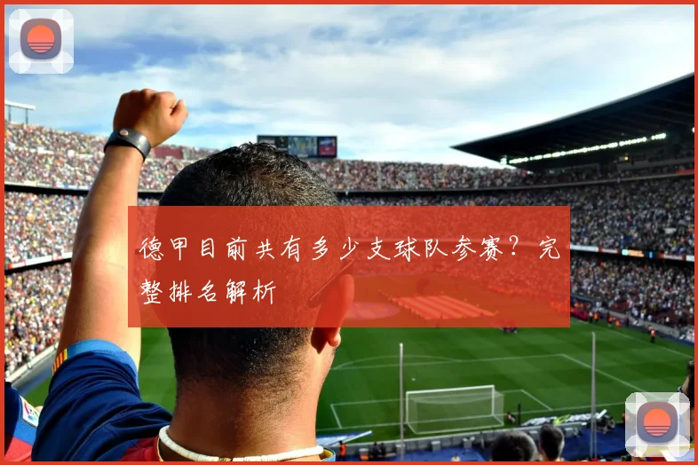 德甲目前共有多少支球队参赛？完整排名解析