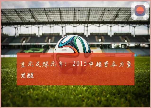 金元足球元年：2015中超资本力量觉醒
