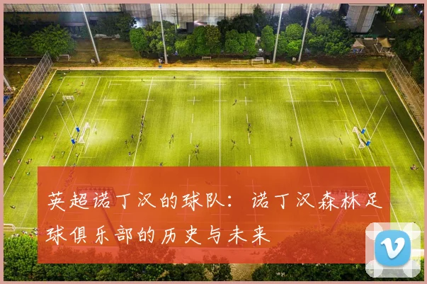 英超诺丁汉的球队：诺丁汉森林足球俱乐部的历史与未来