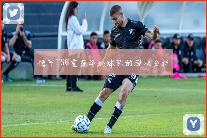 德甲TSG霍芬海姆球队的现状分析